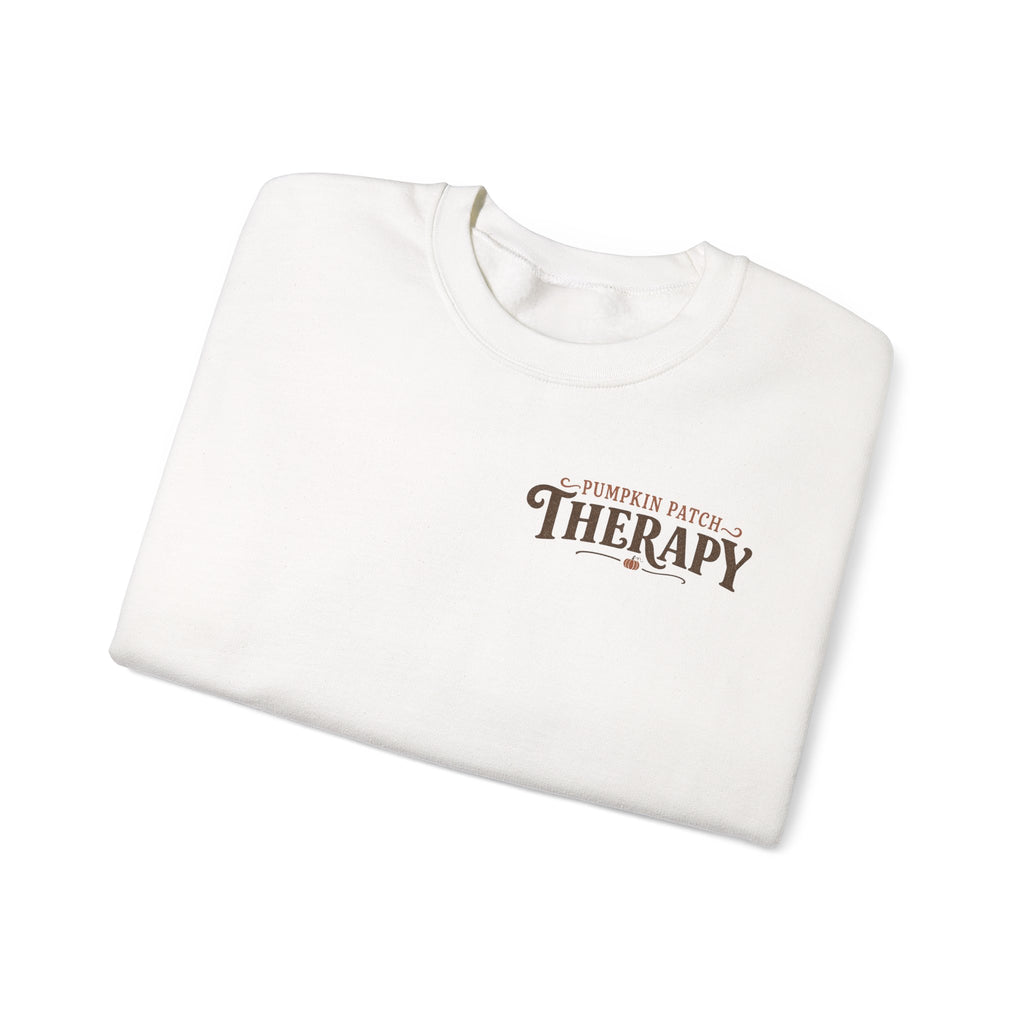 Pumpkin Patch Therapy Sweatshirt, Vintage Pumpkin Patch Crewneck, Fall Back Print Sweater