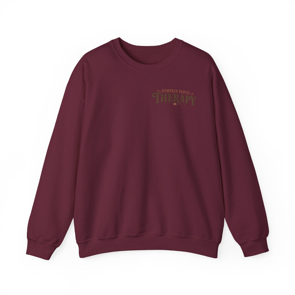 Pumpkin Patch Therapy Sweatshirt, Vintage Pumpkin Patch Crewneck, Fall Back Print Sweater