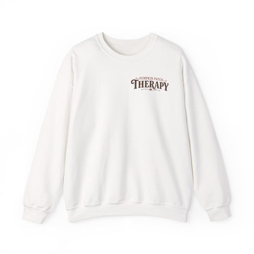 Pumpkin Patch Therapy Sweatshirt, Vintage Pumpkin Patch Crewneck, Fall Back Print Sweater