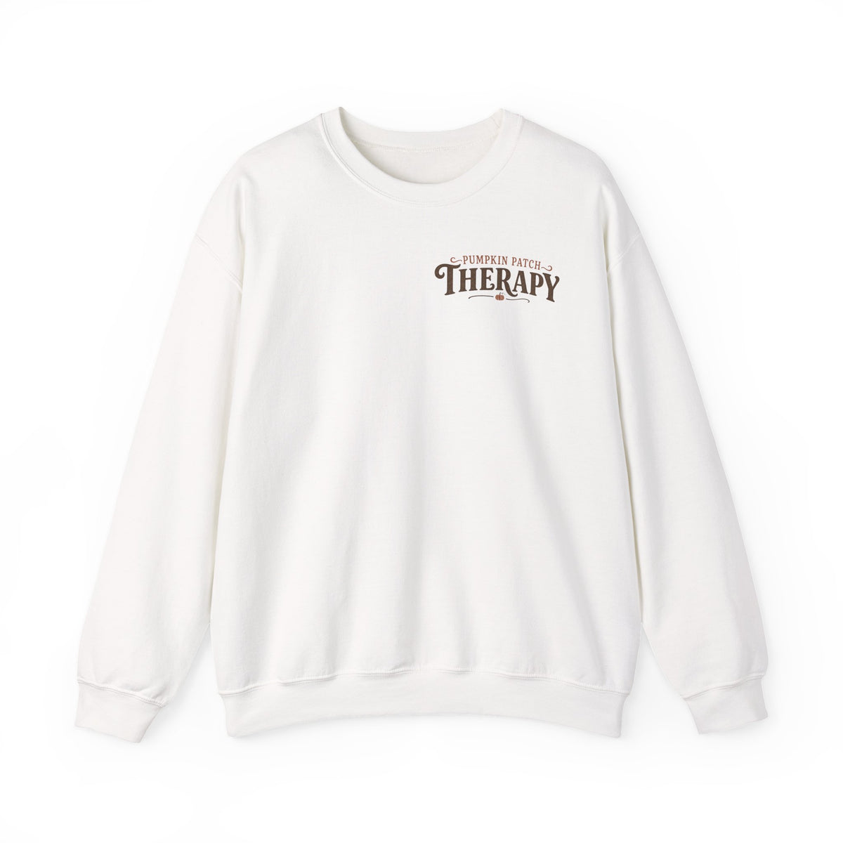 Pumpkin Patch Therapy Sweatshirt, Vintage Pumpkin Patch Crewneck, Fall Back Print Sweater